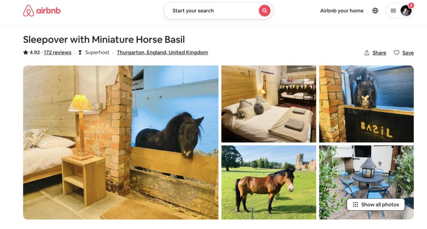 Airbnb page featuring a black miniature horse and some other farm photos and bedroom photos.
