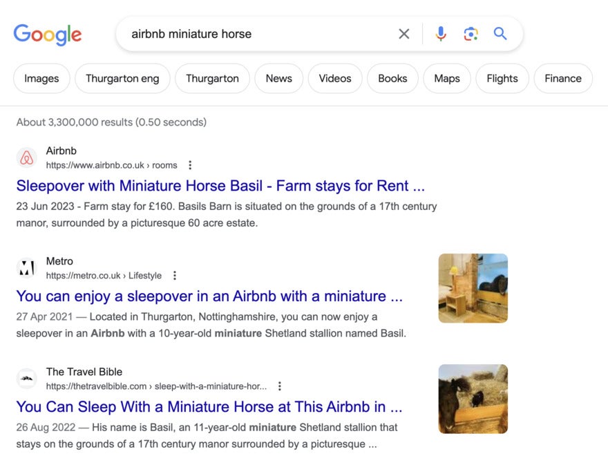 Google results for a search for "Airbnb miniature horse"