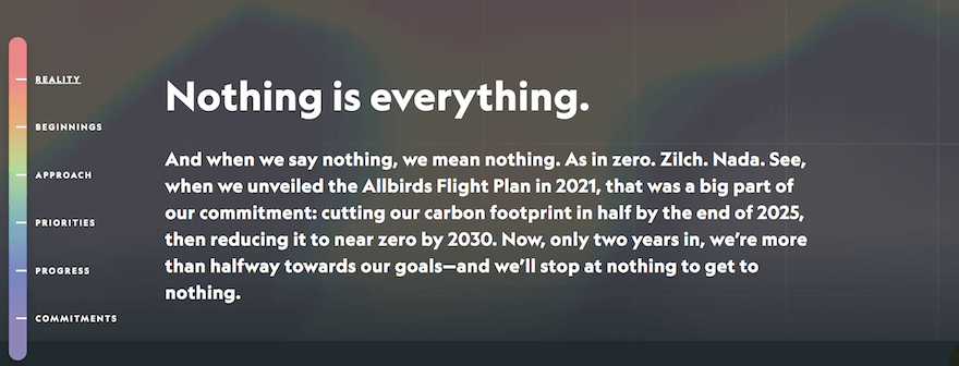 Allbirds ethical marketing example screenshot