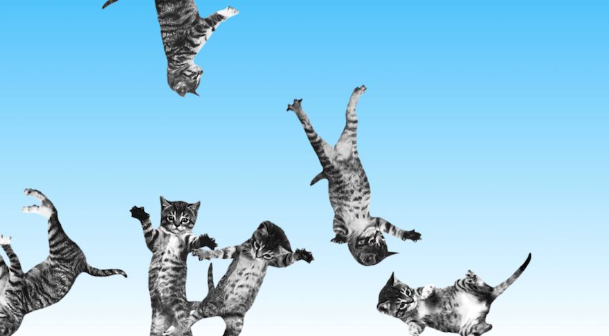 Cat Bounce weird website screenshot