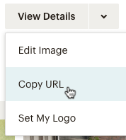 Dropdown menu with the mouse hovering over "Copy URL"