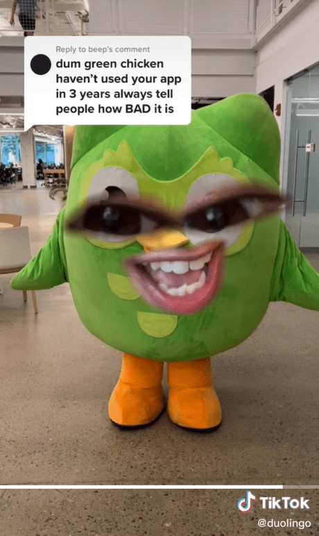 Person dressed in green Duo owl costume with face filter responds to negative comment on TikTok