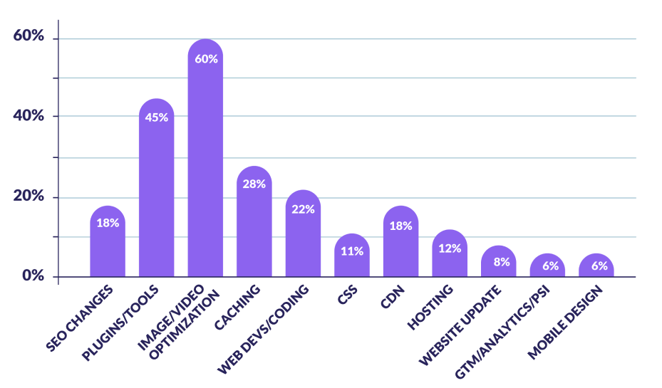 popular optimization strategies