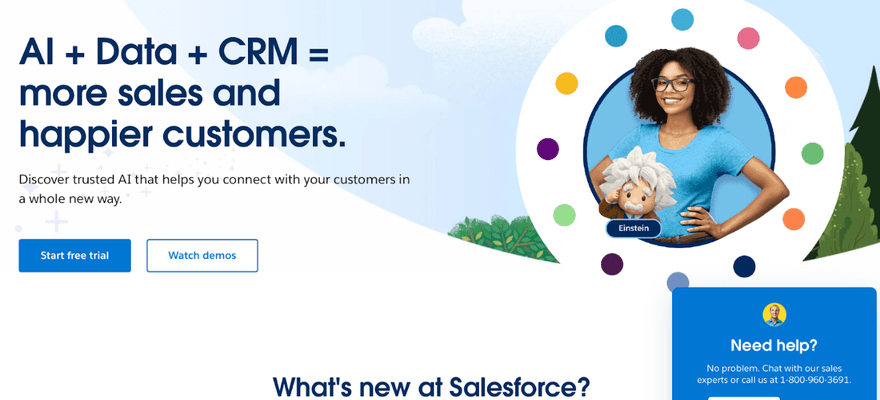 Salesforce homepage