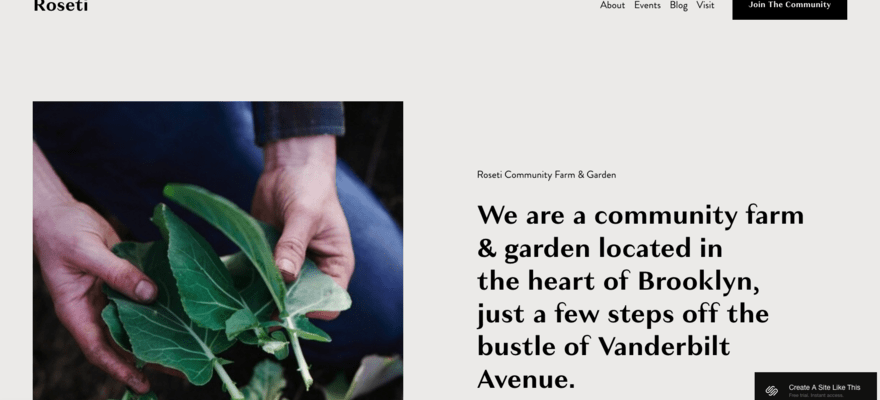 Homepage for Roseti Squarespace template