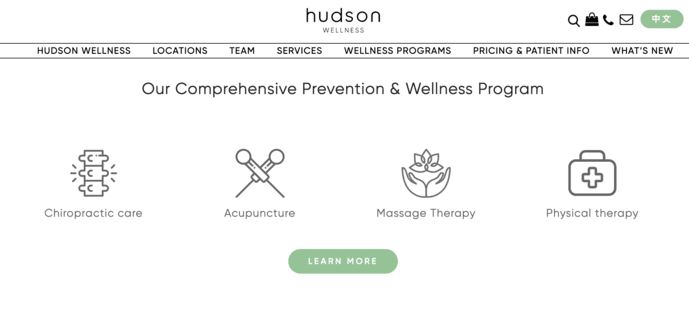 Hudson Medical icons