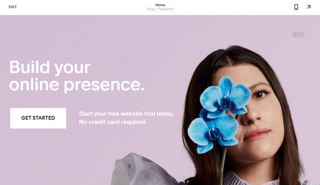 squarespace homepage