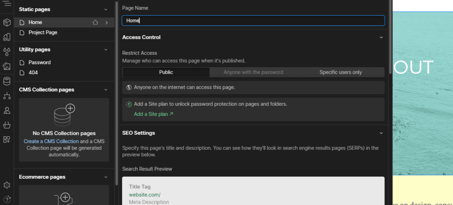 Webflow SEO and page access settings