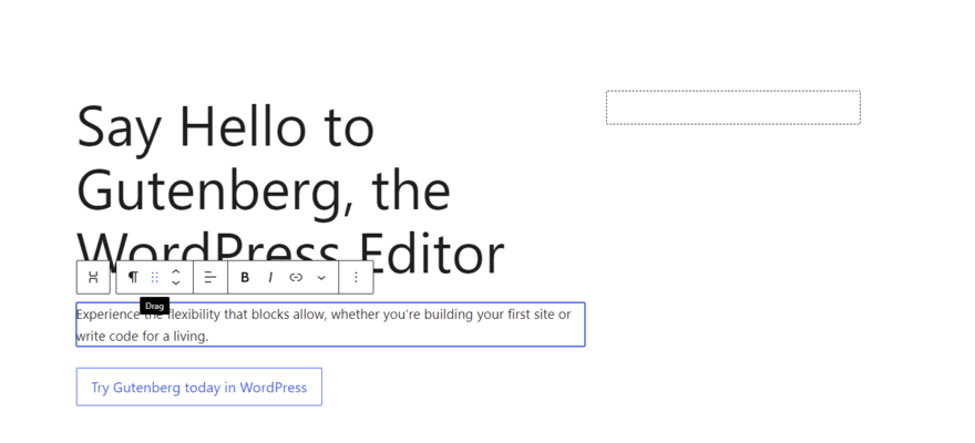 WordPress.org's test website editor