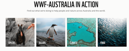 WWF website screenshot 2